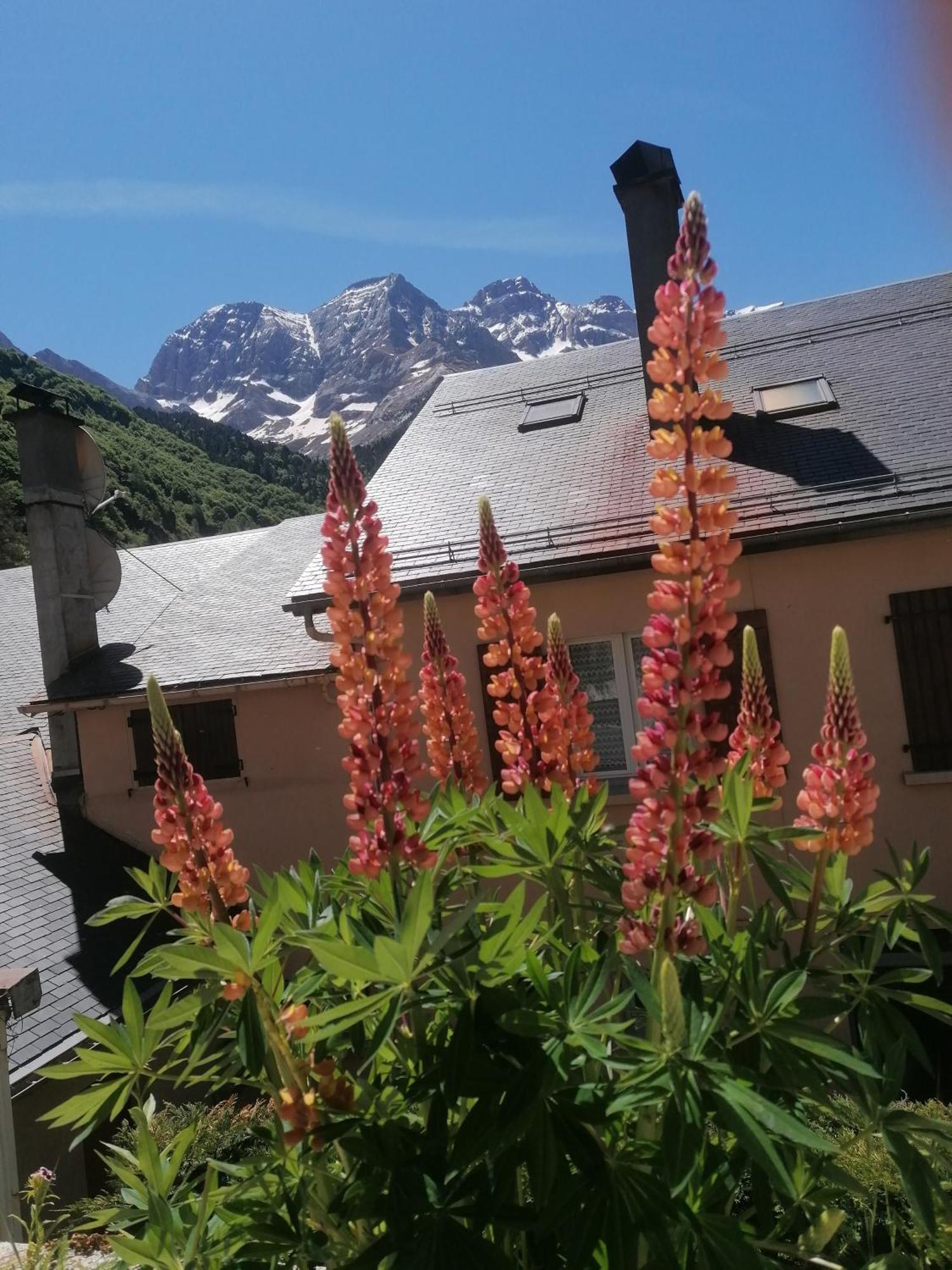 Chambres D'Hotes L'Astazou Gavarnie Exteriör bild